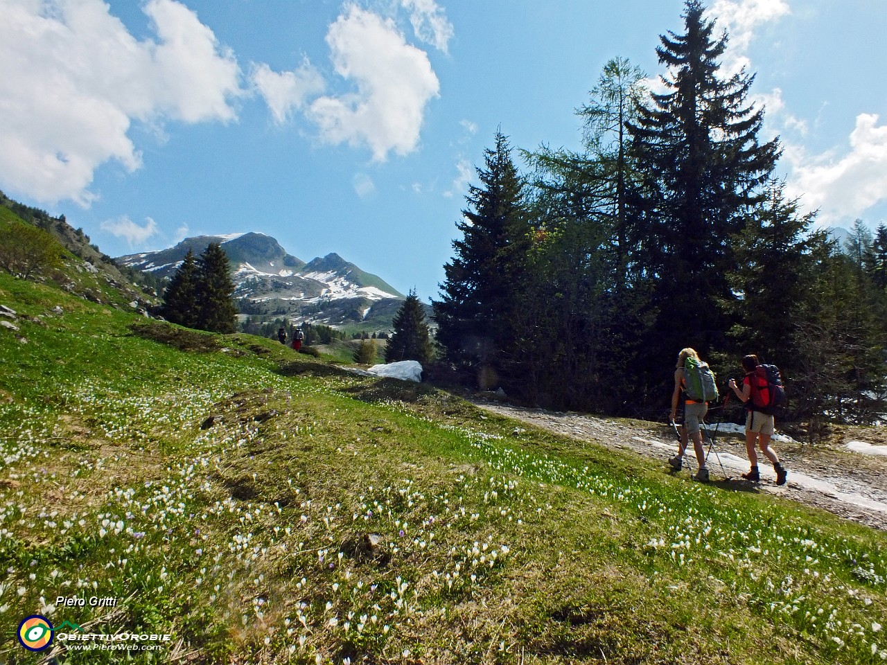 16  Sulla strada sterrata per i Campelli.JPG